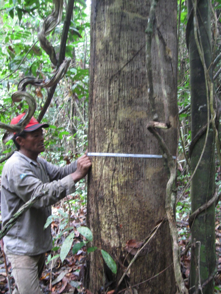 Paragominas até 28-11-08 085-2.jpg